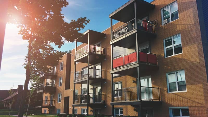 A four-storey brick walk-up with stacked balconies, lit by a low sun flaring through a tree.