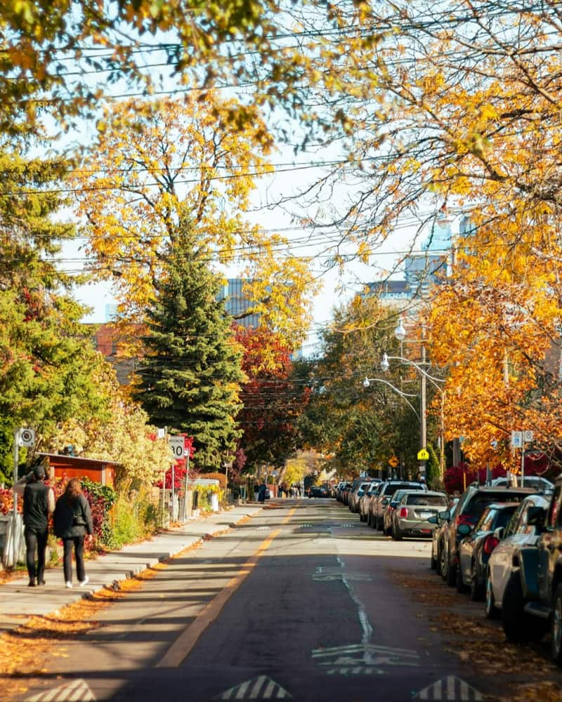 A tree-lined Toronto residential street in full autumn colour, with two people walking in the distance.