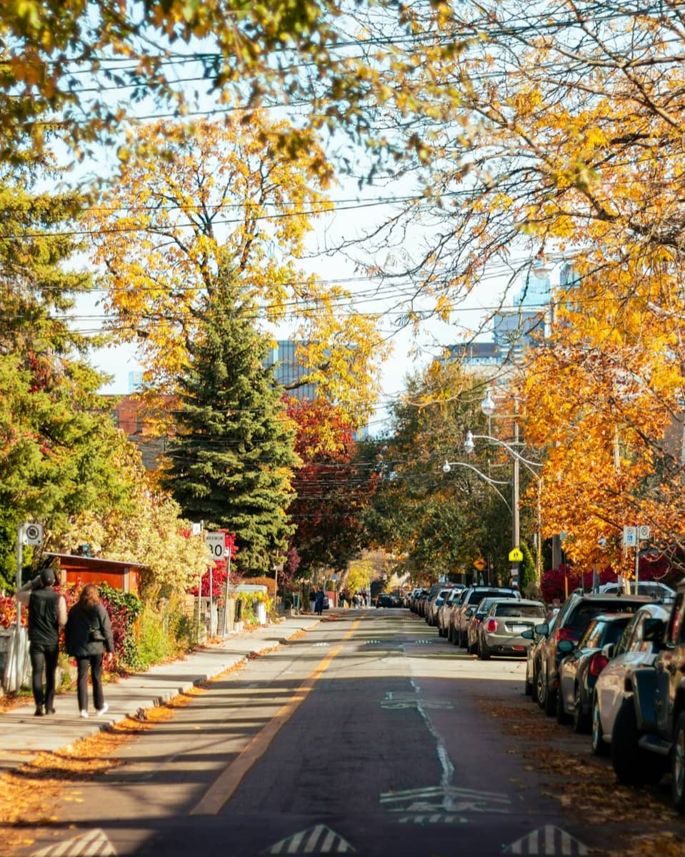 A tree-lined Toronto residential street in full autumn colour, with two people walking in the distance.