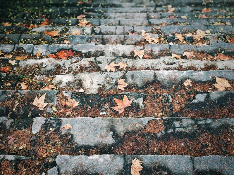 Fallen maple leaves on worn stone steps.
