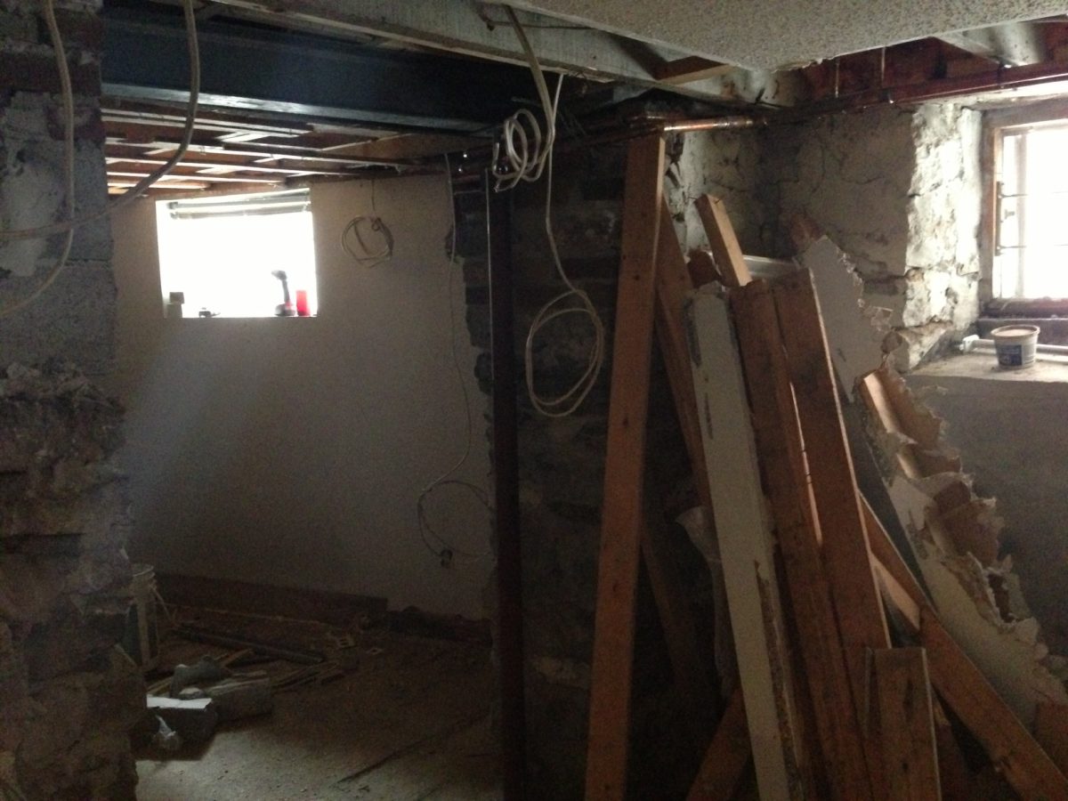Lions…Tigers…and Renovating A Basement Unit. Oh My…